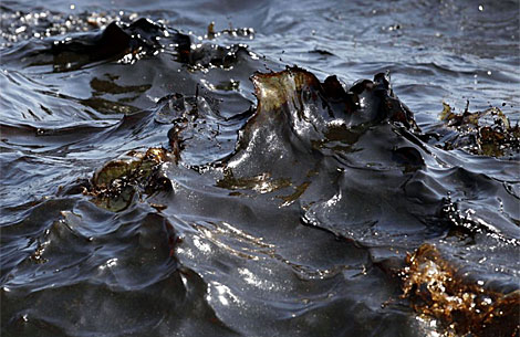 Olas de petrleo en el Golfo de Mxico. | AFP