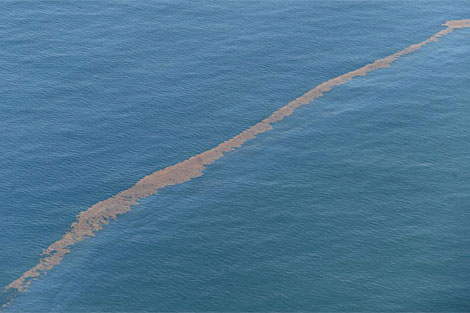 Una mancha de crudo cerca de la zona donde empez el derrame del Golfo de Mxico. | Efe