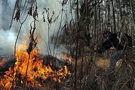 Un hombre intenta apagar un brote de fuego en la Amazona. | AFP