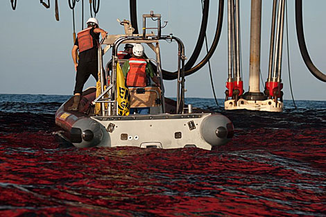 Miembros de Greenpeace cerca de la plataforma petrolera, ubicada en el Golfo de Mxico.| Efe