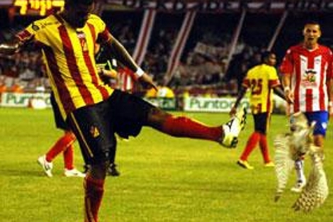 El jugador panameo Luis Moreno patea a una lechuza durante un partido.