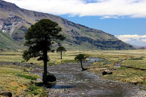 En la imagen, la Patagonia argentina.