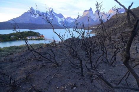 Vista de una zona del Parque Torres del Paine afectada por el fuego. | Efe
