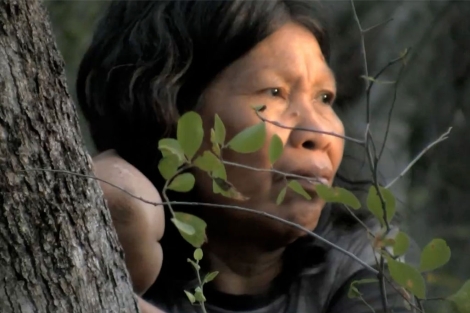 Mujer ayoreo. Sus familiares aislados se encuentran amenazados por la tala.|  GAT / Survival