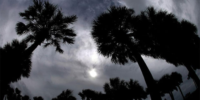 Palmeras azotadas por el viento en el paseo martimo de Tampa (Florida). | Afp