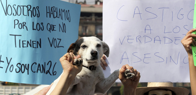 Activistas de asociaciones protectoras de animales protestan en la capital mexicana.| Efe