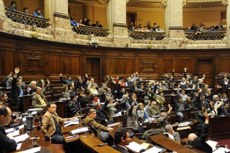 Referéndum estudiante universitario nacido Los diputados uruguayos aprueban el proyecto de legalización de la  marihuana | Noticias | elmundo.es