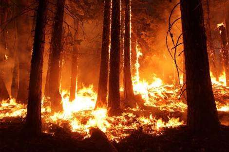 Las llamas devoran un paraje del parque nacional de Yosemite. | Reuters