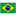Escudo de Brazil Olympic