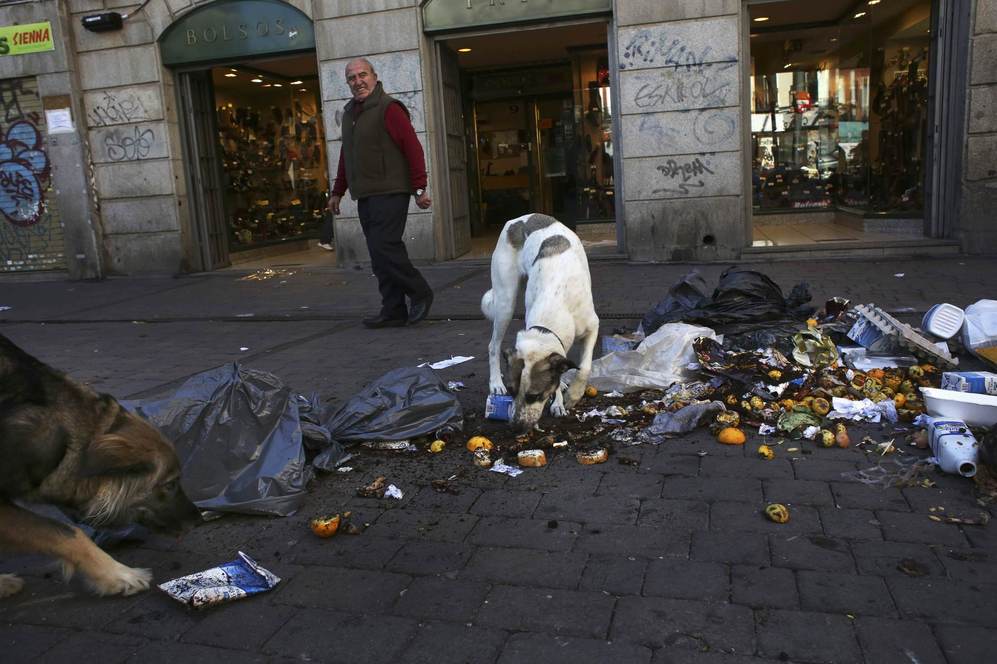 24 horas... 24 fotos Los perros comen basura de las