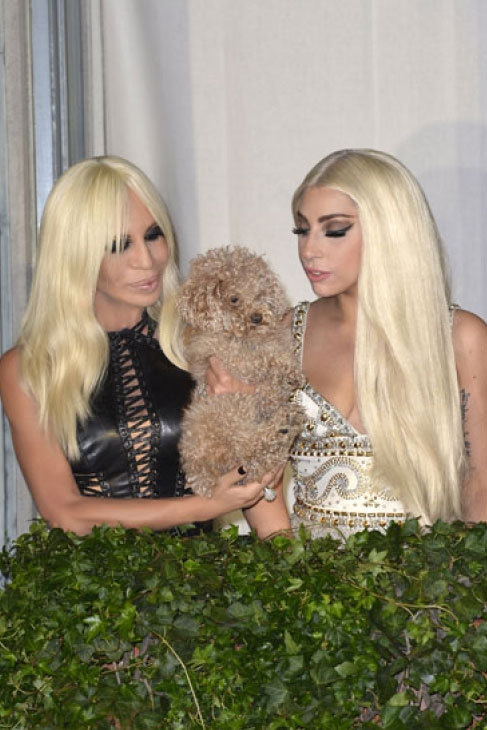 Parece que la relacin Lady Gaga y Versace se intensifica ms si...