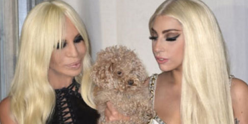 Parece que la relacin Lady Gaga- Versace se intensifica ms si...