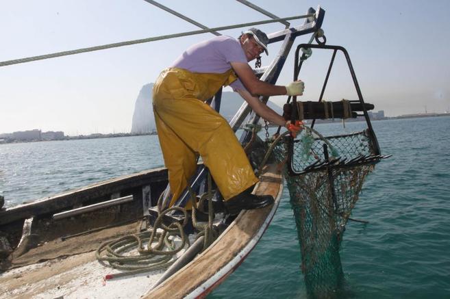 Francisco Gmez baja una red de pesca al agua, desde su barco 'Divina...