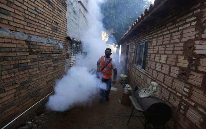 Un hombre fumiga una calle en Asuncin (Paraguay), donde hay un brote...