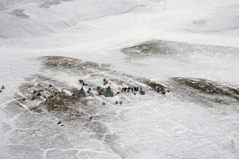 Vista del campamento de criadores de renos prxima al ro Yuribei,...