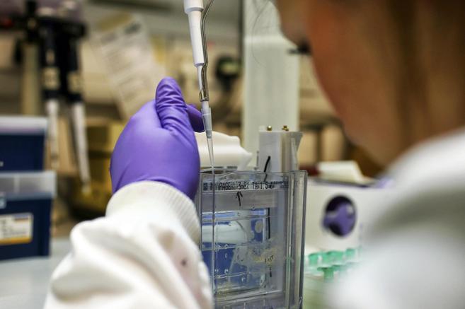 Una cientfica separa protenas de un gel en un laboratorio.