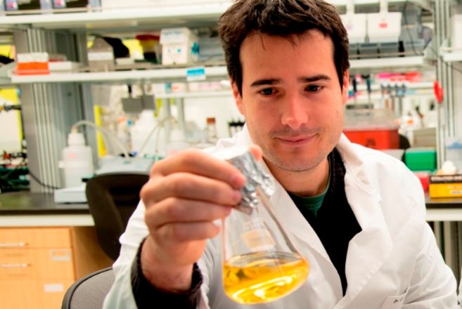 El investigador Carlos Cruchaga, en su laboratorio de la Universidad...