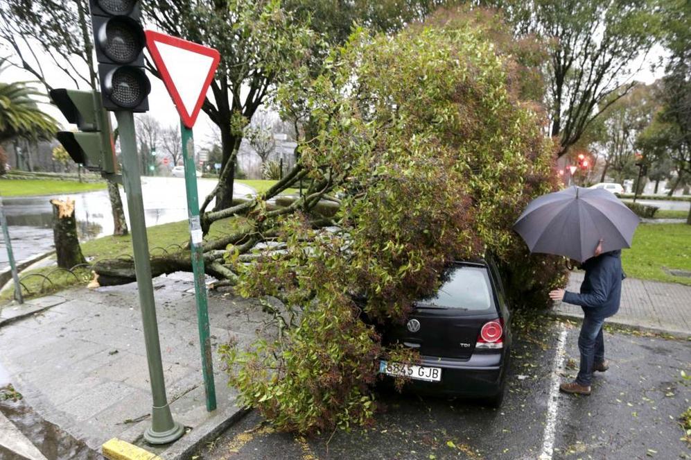El fuerte temporal de viento y lluvia en Galicia ha provocado ms de...