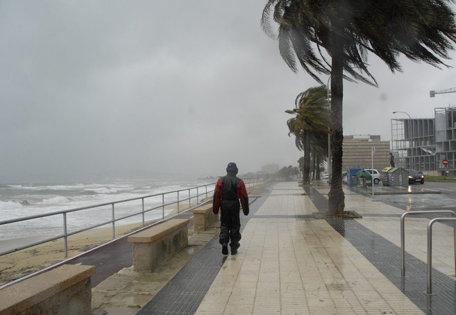 El paseo Martimo de Palma durante el temporal.