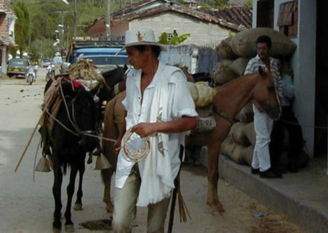 Un campesino colombiano, con su burro.
