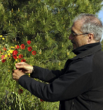 Un hombre saca flores de una colina