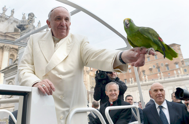 El Papa Francisco sostiene un loro a su llegada a la audiencia general...