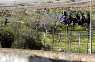 Cinco de los inmigrantes encaramados a la valla fronteriza de Melilla.