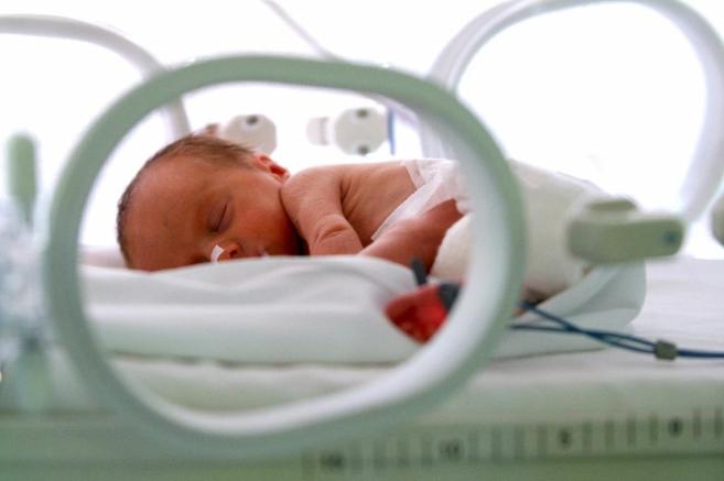 Un beb prematuro en la incubadora.