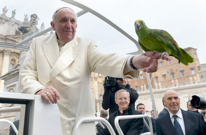 El Papa Francisco sostiene un loro a su llegada a una audiencia...