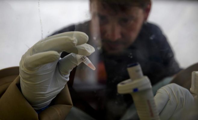 Un laboratorio analiza una muestra de sangre en una clnica mvil en...