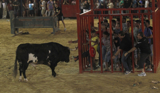 Festejo taurino en la localidad valenciana de Sueca con el toro...