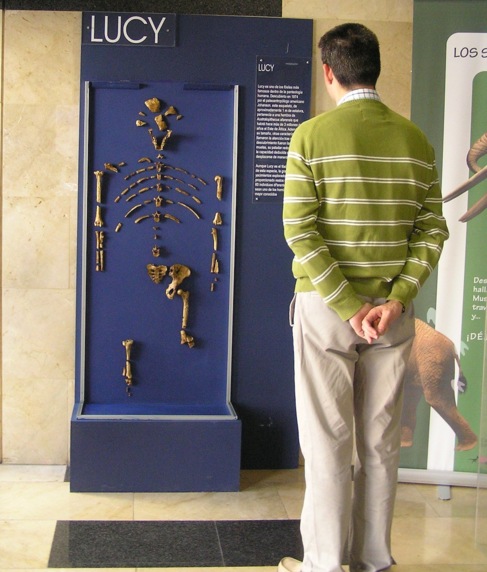 Un visitante a la exposicin del MUPE, ante la rplica del esqueleto...