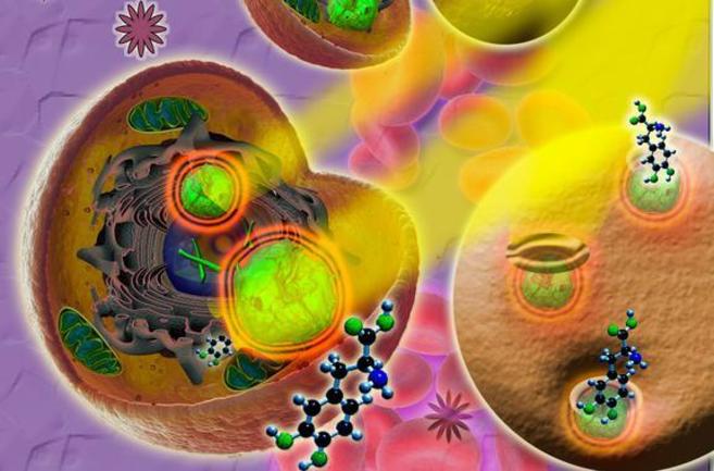 Nanopartculas responden liberando frmacos al ser irradiadas con...
