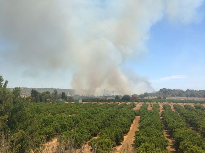 El incendio que afecta a parte del parque fluvial del Turia en...