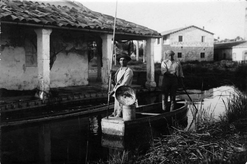 Dos pescadores en la Albufera de Alcúdia a principios del siglo XX...
