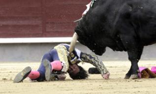 David Mora, arrollado por el toro.