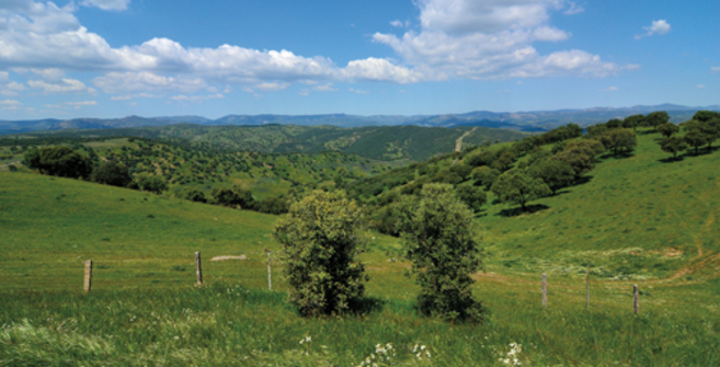 Imagen del parque natural Sierra de Andjar.