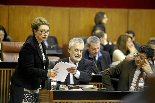 Martnez Aguayo y Grin, en el Parlamento andaluz en febrero de...