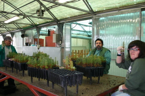 Imagen de dos trabajadores del vivero de horticultura de La Fageda.