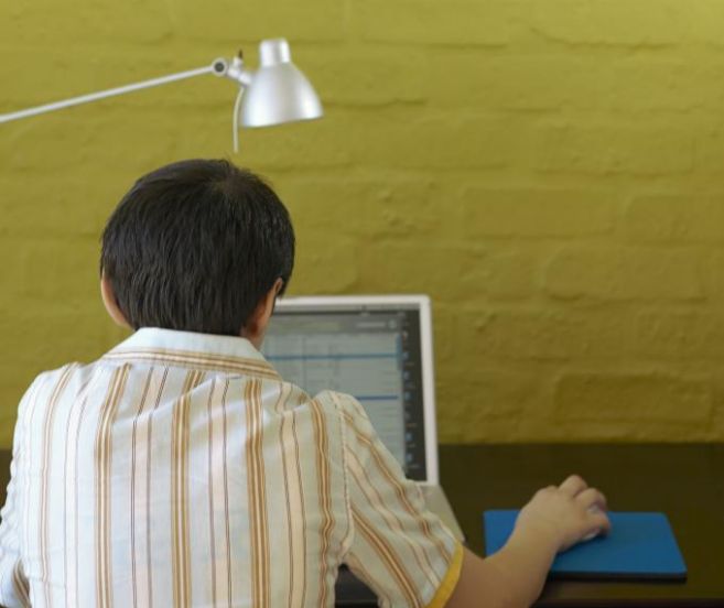 Un niño, de espaldas, trabajando con un ordenador.