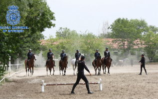 Jornada de entrenamiento para los caballos de la Polica Nacional.