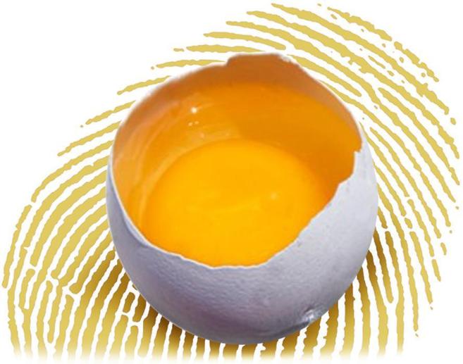El huevo es uno de los alimentos que ms problemas de alergia...