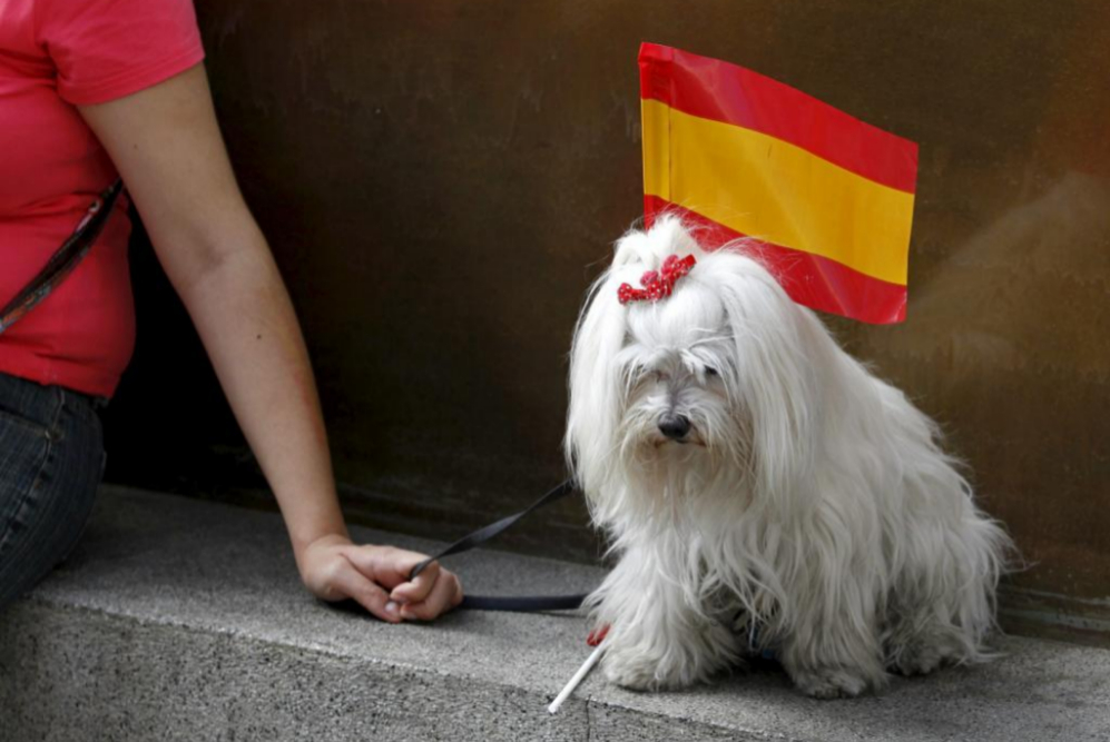 Un perro con una bandera espaola cerca de las Cortes Generales.