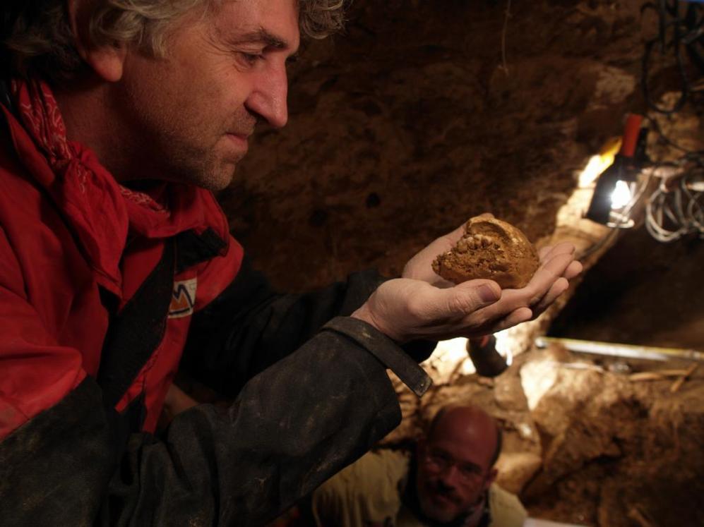 Juan Luis Arsuaga sostiene un fragmento de uno de los cráneos humanos...