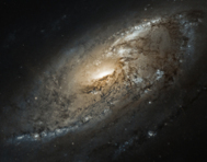 M106 observada en el óptico con el Hubble
