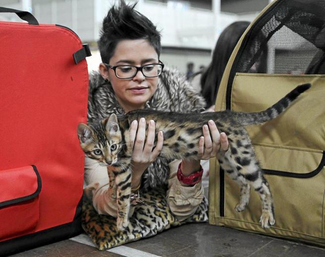 Una mujer coge un gato en una feria de mascotas