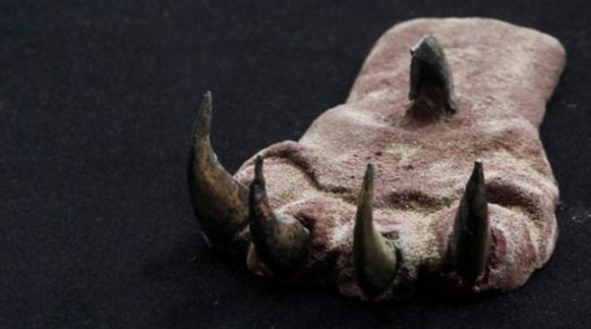 Garra del atuendo encontrada en la tumba de la Huaca de la Luna.