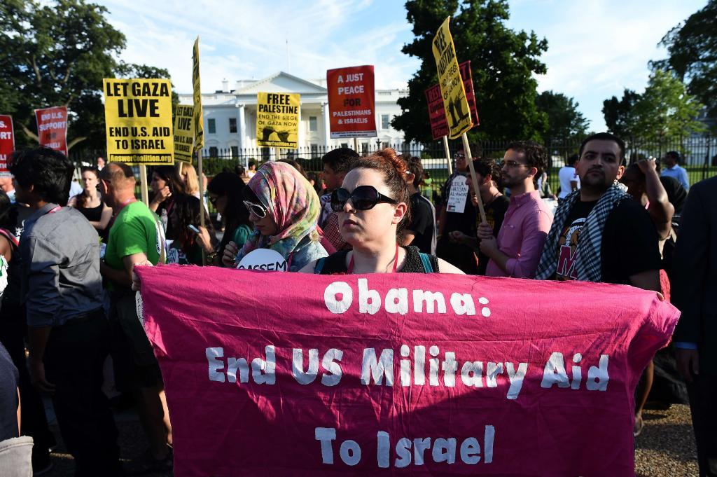 Protestas a favor de Palestina en varias ciudades - Los protestantes de ...