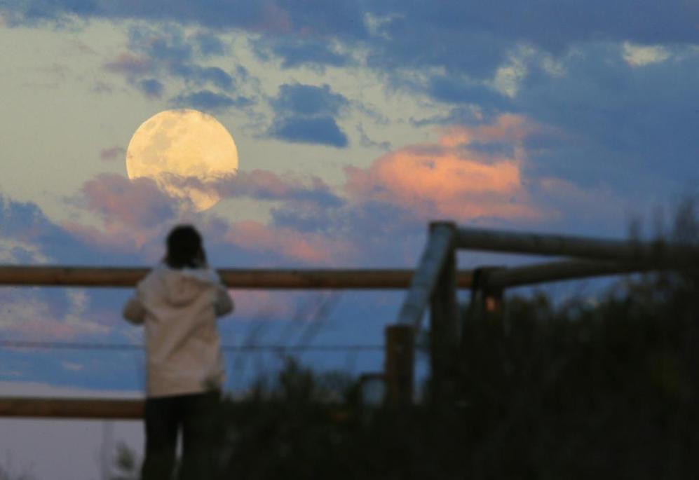 Una mujer observa la luna en Sdney, Australia.