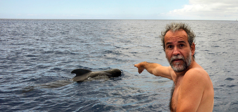 Willy Toledo en un avistamiento de ballenas.